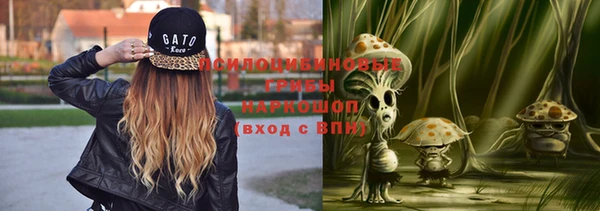 MESCALINE Аркадак