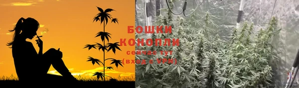MESCALINE Аркадак