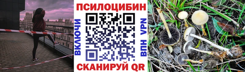 Галлюциногенные грибы ЛСД  площадка телеграм  Ахтубинск 